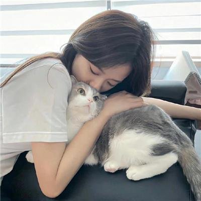 功夫大师